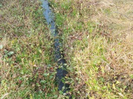 ყიდვა კერძო სახლის მიწის ნაკვეთით ოზურგეთი, საქართველო. ფოტო 4