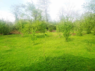 House for sale with a plot of land in the suburbs of Ozurgeti, Georgia. Tangerine garden, Orchard, Walnut garden. Photo 4