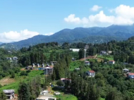 ყიდვა კერძო სახლის მიწის ნაკვეთით ქალაქგარეთ ბათუმში, თხილნარი. ზღვის ხედებით. ფოტო 4