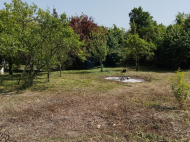 land for sale with a small house in Zugdidi, Georgia. Photo 9