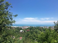 House for sale with a plot of land in the suburbs of Batumi, Georgia. Photo 1