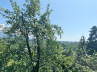 Продается частный дом с земельным участком в Цкаврока, Грузия.  Фото 12