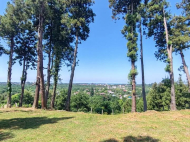 Участок в курортном районе Уреки. Земельный участок на продажу в Уреки, Грузия. Фото 3