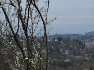 Продается земельный участок с видом на море и горы в Батуми, Грузия. Фото 6