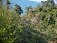 Купить земельный участок с видом на море в Цихисдзири, Грузия. Фото 4