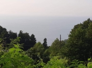 Land parcel for sale in Sarpi, Georgia. Ground area with sea view. Photo 3