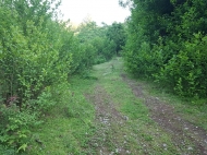 Land parcel for sale in Makhinjauri, Adjara, Georgia. Orchard and tangerine garden. Natural spring water. Photo 1