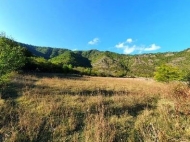 Продается земельный участок в живописном месте. Земельный участок в курортной зоне Боржоми, Грузия. Фото 2