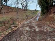 ვიყიდი კერძო სახლს საკურორტო რაიონში ბობოყვათში, საქართველო. მანდარინის ბაღი, ხილის ბაღი. თხილის ბაღი. მდინარესთან. ფოტო 8