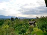 House for sale with a plot of land in Ozurgeti, Georgia. Photo 3