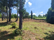 Участок в курортном районе Уреки. Земельный участок на продажу в Уреки, Грузия. Фото 6