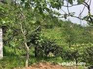 Купить частный дом с земельным участком в пригороде в Эрге, Грузия. Продается дом с земельным участком в красивом месте. У реки. Фото 24