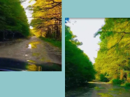 House for sale with a plot of land in the suburbs of Chkhorotsku, Georgia. Near the river. Photo 3