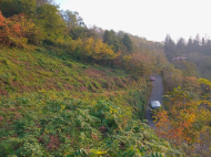 იყიდება მიწის ნაკვეთი ქალაქგარეთ ბათუმი, საქართველო. ზღვის ხედებით. ფოტო 8