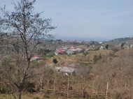 Продается земельный участок в пригороде Батуми, Грузия. Вид на море. Фото 3